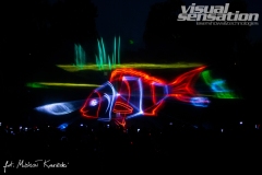 Visual Sensation © 2022 All Rights Reserved. Photo Michał Kowieski