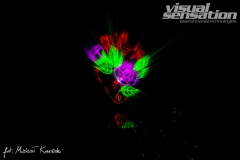 Visual Sensation © 2022 All Rights Reserved. Photo Michał Kowieski
