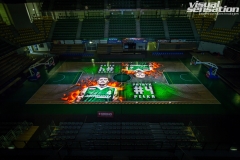 stelmet-zielona-gora-prezentacja-druzyny-video-mapping-visual-sensation-1
