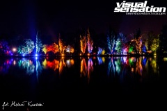 Visual Sensation © 2020 All Rights Reserved. Photo by Michał Kowieski