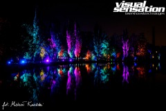 Visual Sensation © 2020 All Rights Reserved. Photo by Michał Kowieski