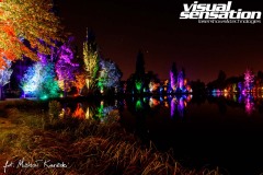 Visual Sensation © 2020 All Rights Reserved. Photo by Michał Kowieski