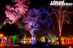 Visual Sensation © 2020 All Rights Reserved. Photo by Michał Kowieski