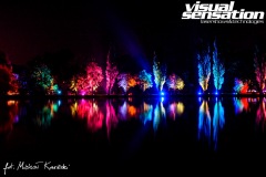 Visual Sensation © 2020 All Rights Reserved. Photo by Michał Kowieski