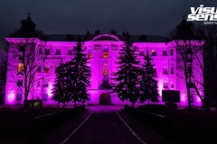 Zamek-Rydzyna